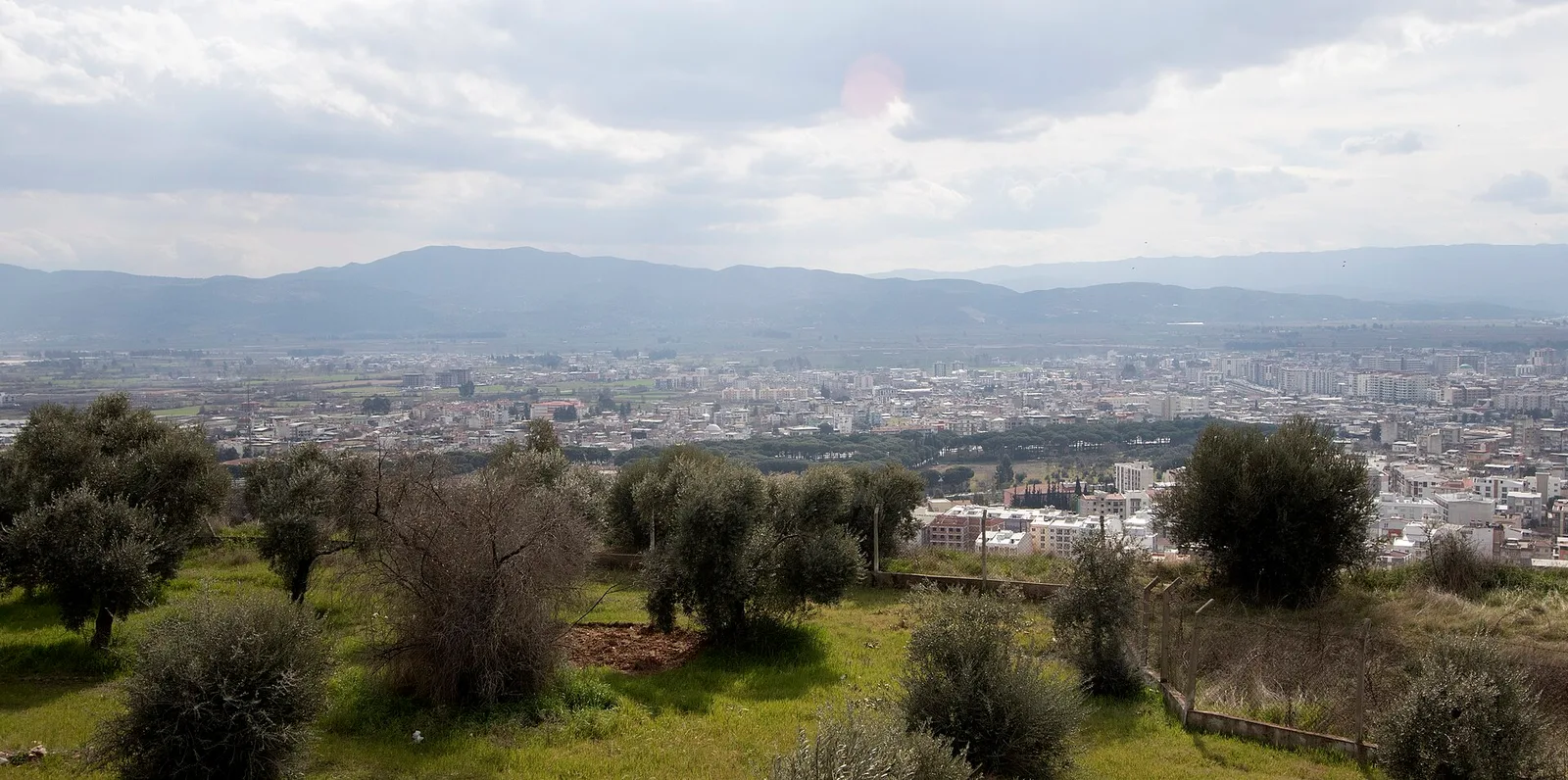 Aydın